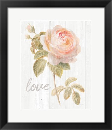 Framed Garden Rose on Wood Love Print