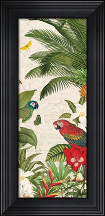 Framed Parrot Paradise VII Print