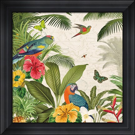 Framed Parrot Paradise II Print