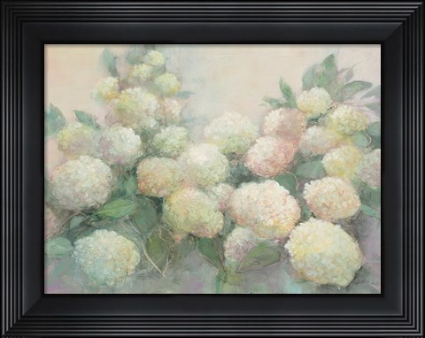 Framed Annabelle Hydrangeas Print