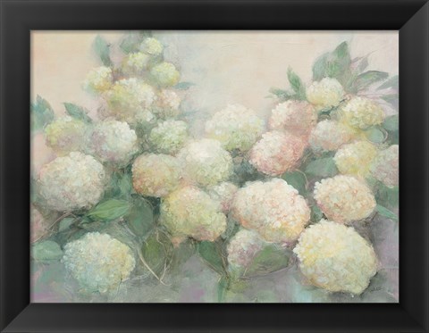 Framed Annabelle Hydrangeas Print