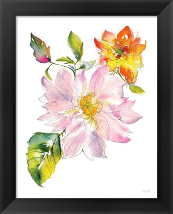 Framed Dahlia Delight of the Day II Print