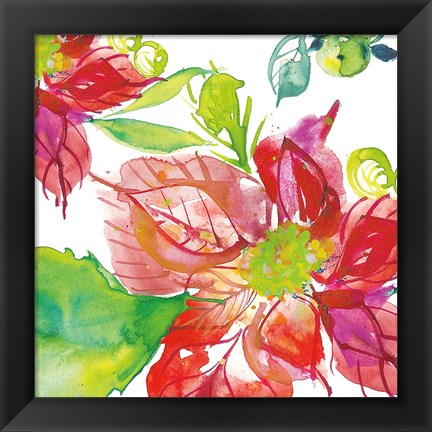 Framed Poinsettia Pretty III Print