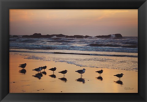 Framed Kalaloch Birds IV Print