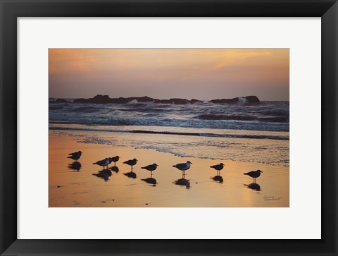 Framed Kalaloch Birds IV Print