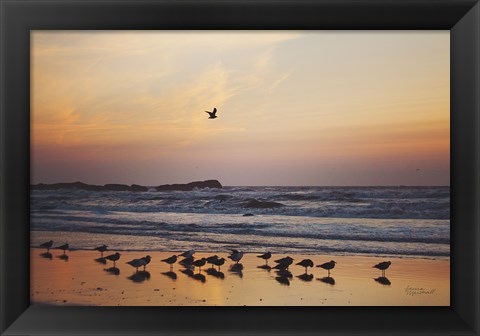 Framed Kalaloch Birds III Print