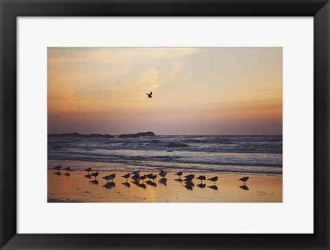 Framed Kalaloch Birds III Print