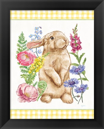 Framed Sunny Bunny III Checker Border Print
