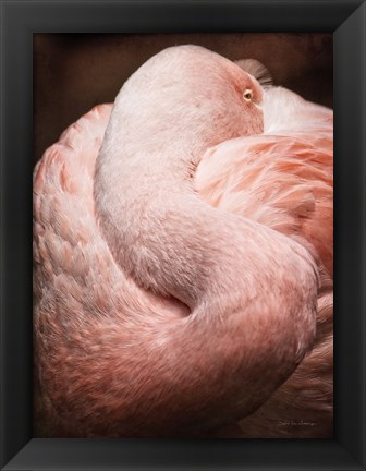 Framed Chilean Flamingo I Print