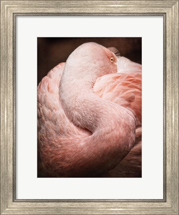 Framed Chilean Flamingo I Print