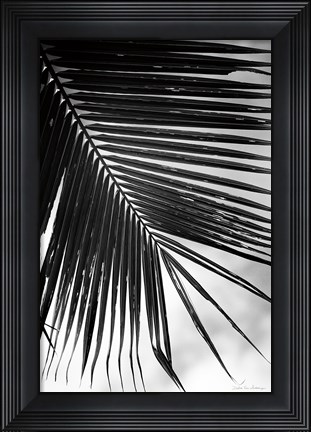 Framed Palm Frond II Print
