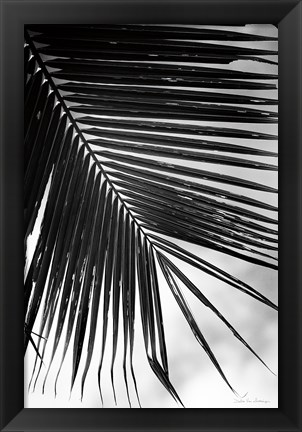 Framed Palm Frond II Print