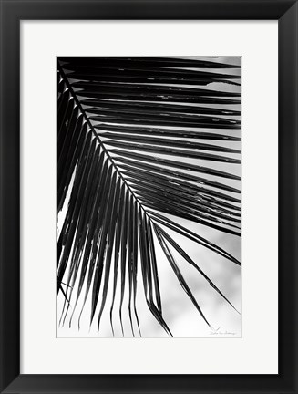 Framed Palm Frond II Print