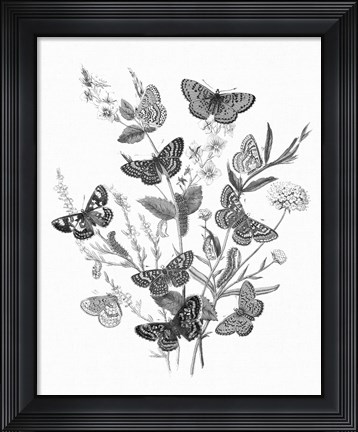 Framed Butterfly Bouquet I Linen BW I Print