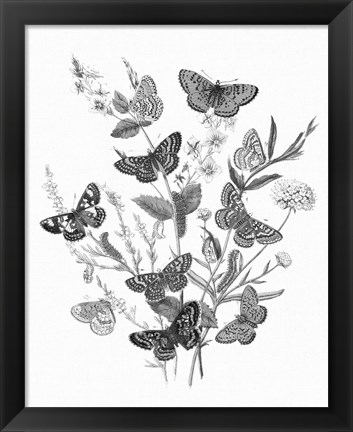 Framed Butterfly Bouquet I Linen BW I Print