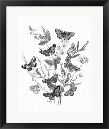 Framed Butterfly Bouquet I Linen BW I Print