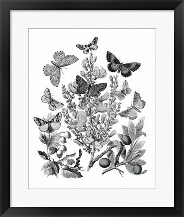 Framed Butterfly Bouquet II Linen BW II Print