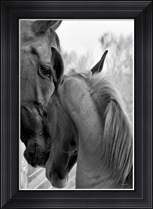 Framed Cheers n&#39; Foal Print