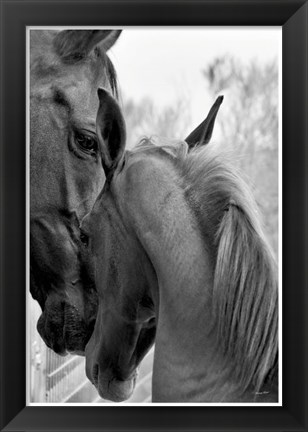 Framed Cheers n&#39; Foal Print