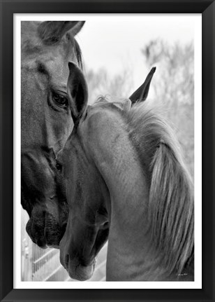 Framed Cheers n&#39; Foal Print