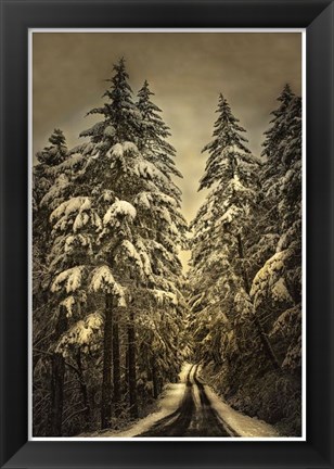 Framed Wagner Creek Snow Print