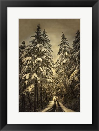 Framed Wagner Creek Snow Print