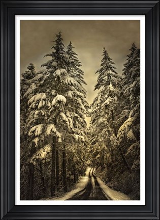 Framed Wagner Creek Snow Print