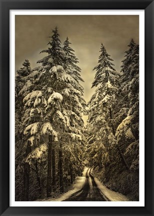 Framed Wagner Creek Snow Print