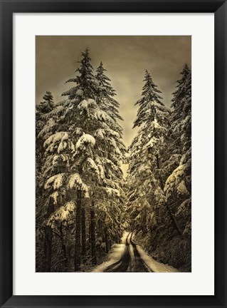 Framed Wagner Creek Snow Print