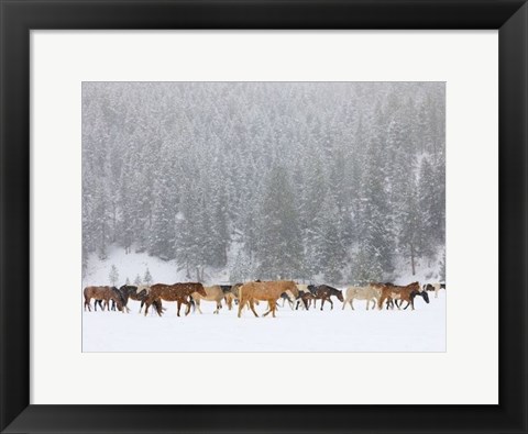 Framed Montana Horses Print