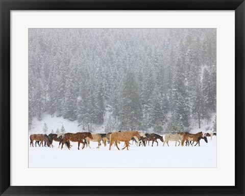 Framed Montana Horses Print