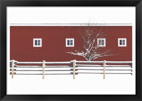 Framed Red Bitterroot Barn Print