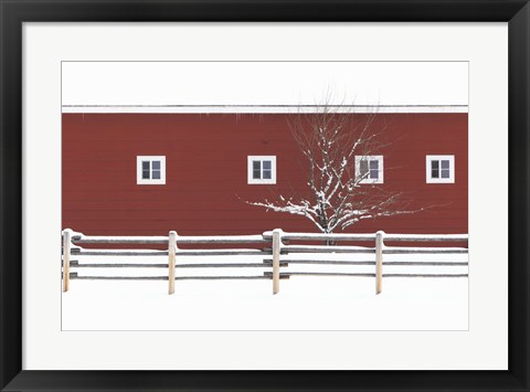 Framed Red Bitterroot Barn Print