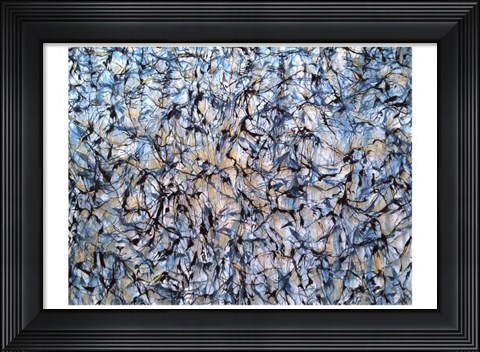 Framed Burst Print