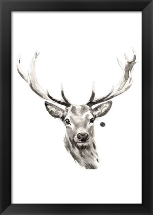 Framed Elk Print