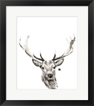 Framed Elk Print