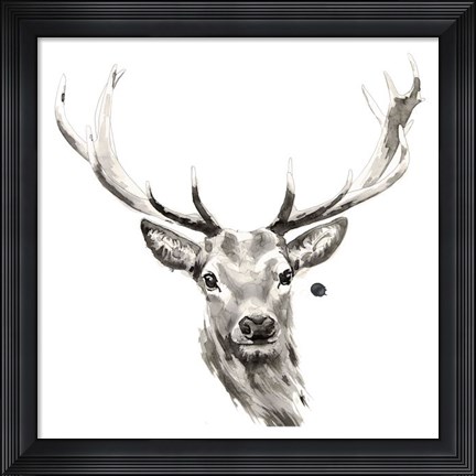 Framed Elk Print