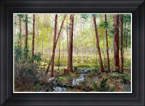 Framed Forest Edge Print