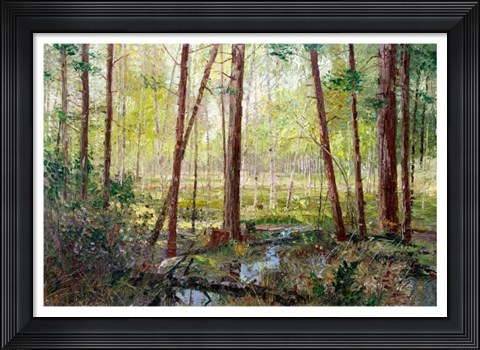 Framed Forest Edge Print