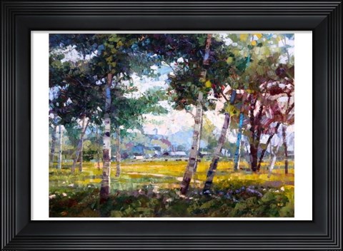 Framed In the Shade Print