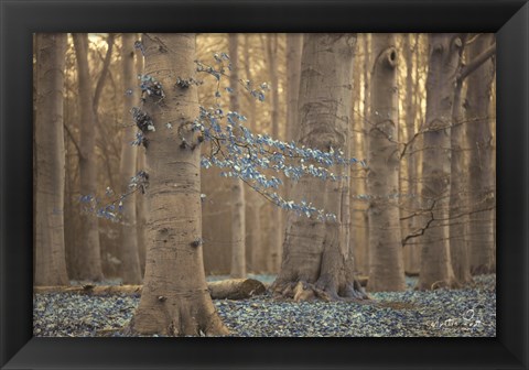 Framed Winter Blues Print