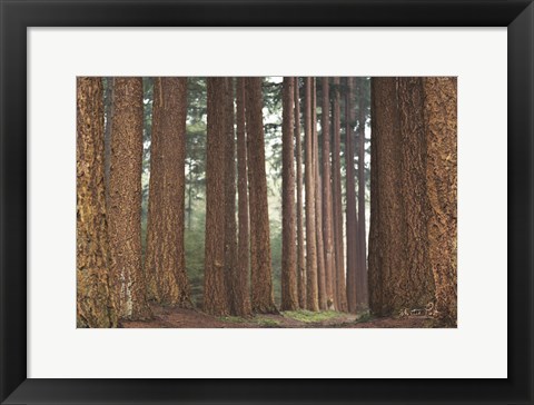 Framed Bars Print