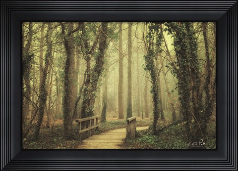 Framed Bridge Print