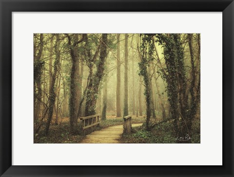 Framed Bridge Print