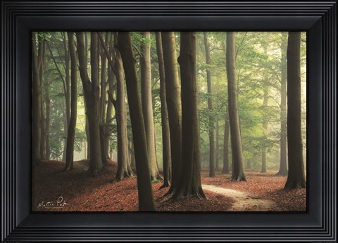 Framed In the Curve Print