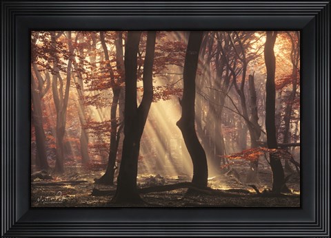 Framed It&#39;s Raining Sunrays Print
