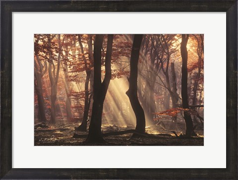 Framed It&#39;s Raining Sunrays Print