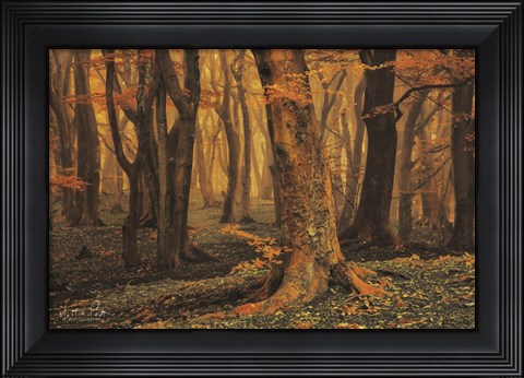 Framed Sweet Dreams Print