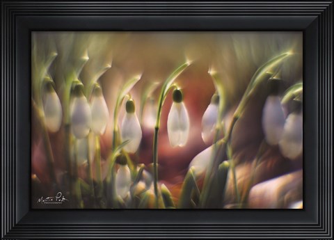 Framed Snowdrops Print