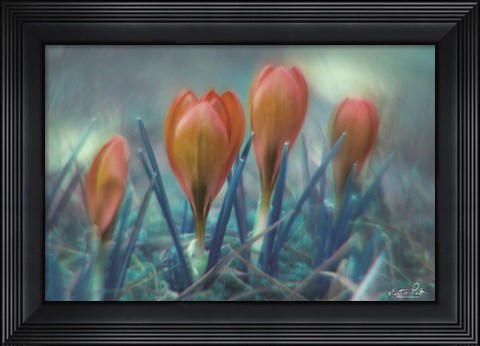 Framed Different Kind of Spring Print